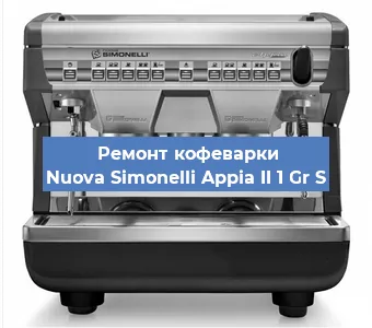 Декальцинация кофемашины Nuova Simonelli Appia II 1 Gr S в Белгороде